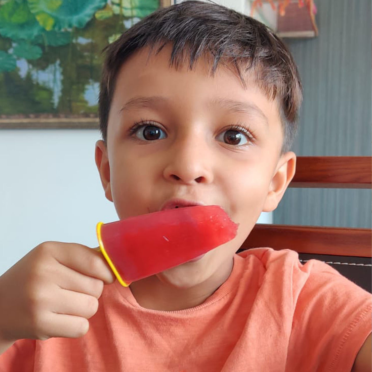 The Select Aisle Whip Up Magic Ice Cream Moulds with Strawberry Popsicle Mix | Whip Up Magic