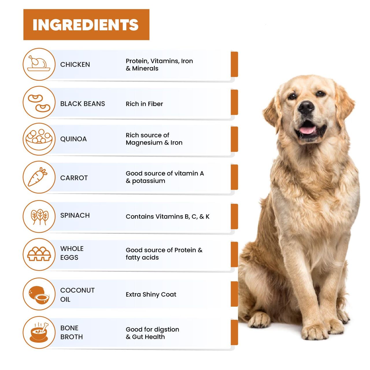 Goofy Tails Chicken & Quinoa Wet Dog Food
