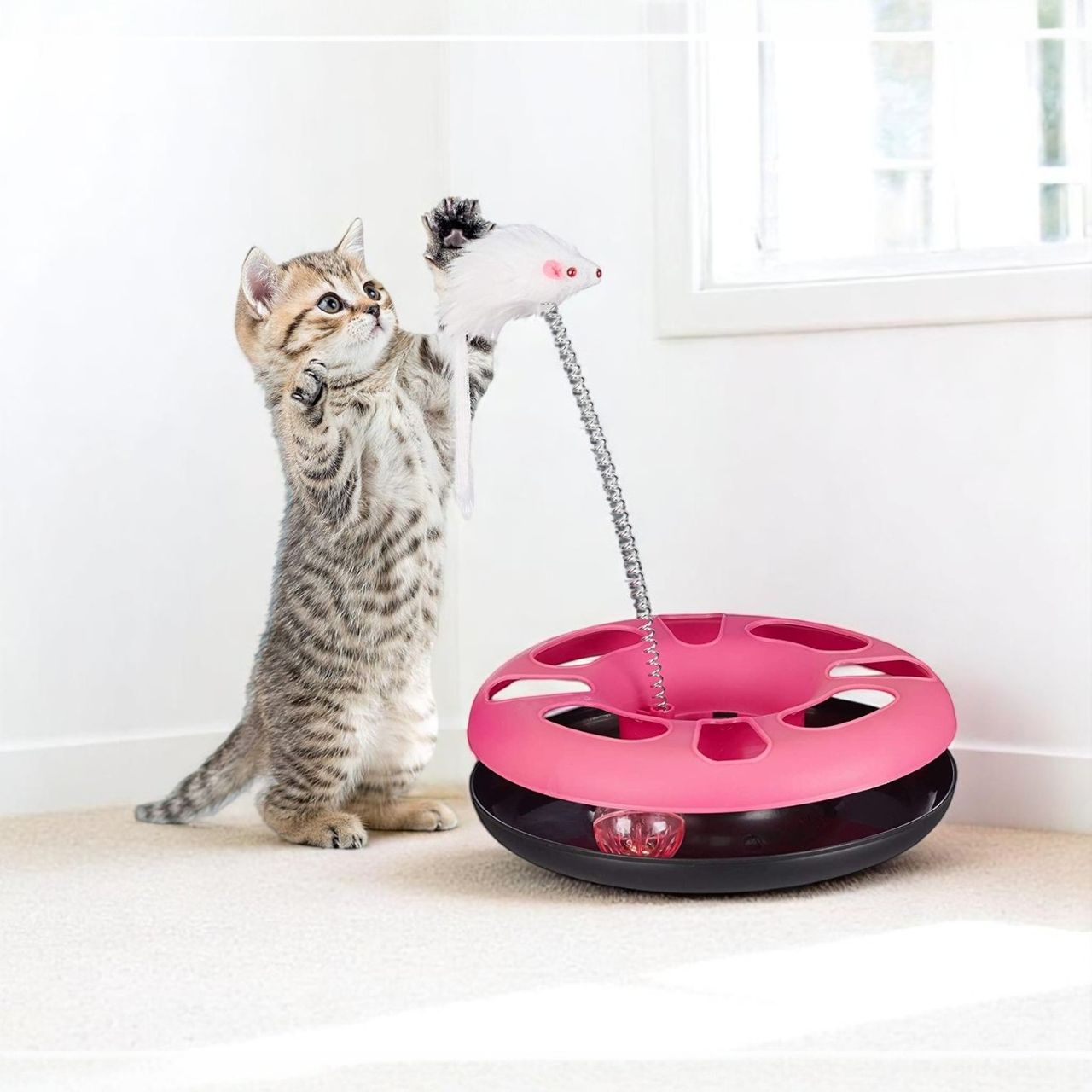 Petcrux Cats Happy Circle With Ball Bell And Teasing Stick Interactive Toy