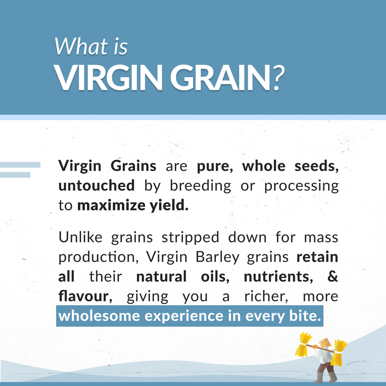TWF Virgin Barley (Jau) Flour