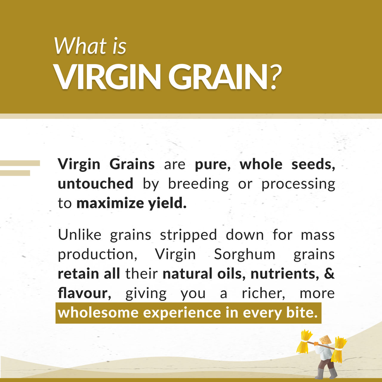 TWF Virgin Sorghum (Jowar) Flour