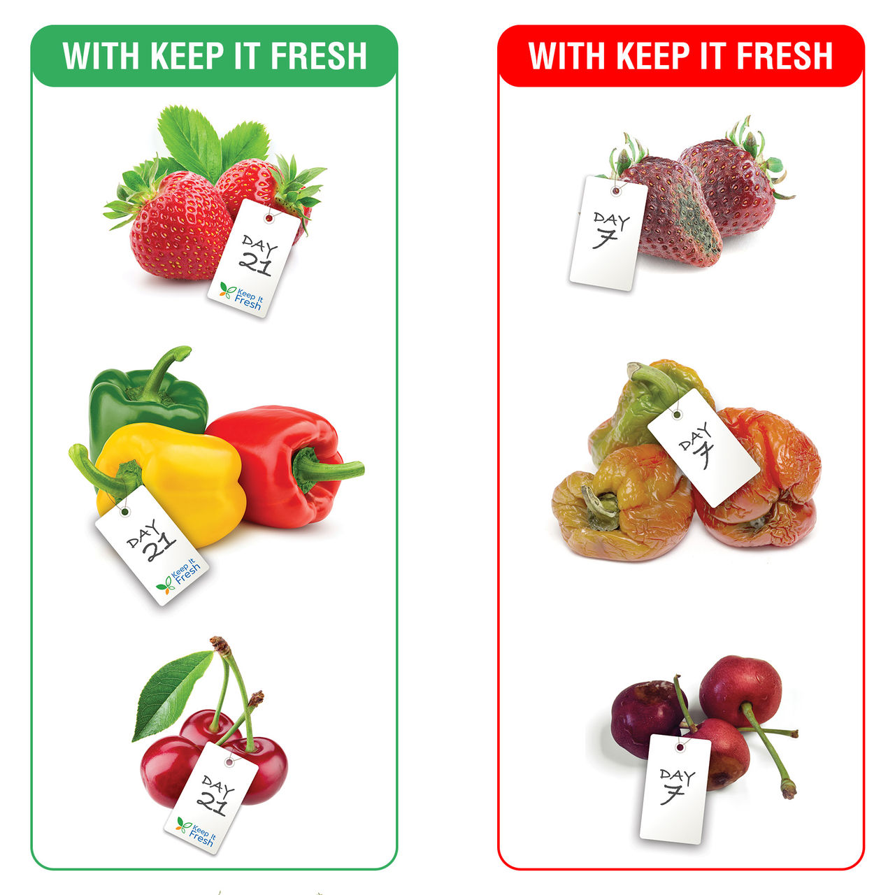 Dr. Bio Keep It Fresh Zip Lock Bags, Re-Sealable Zipper Extending Shelf Life of Fruits, Vegetables