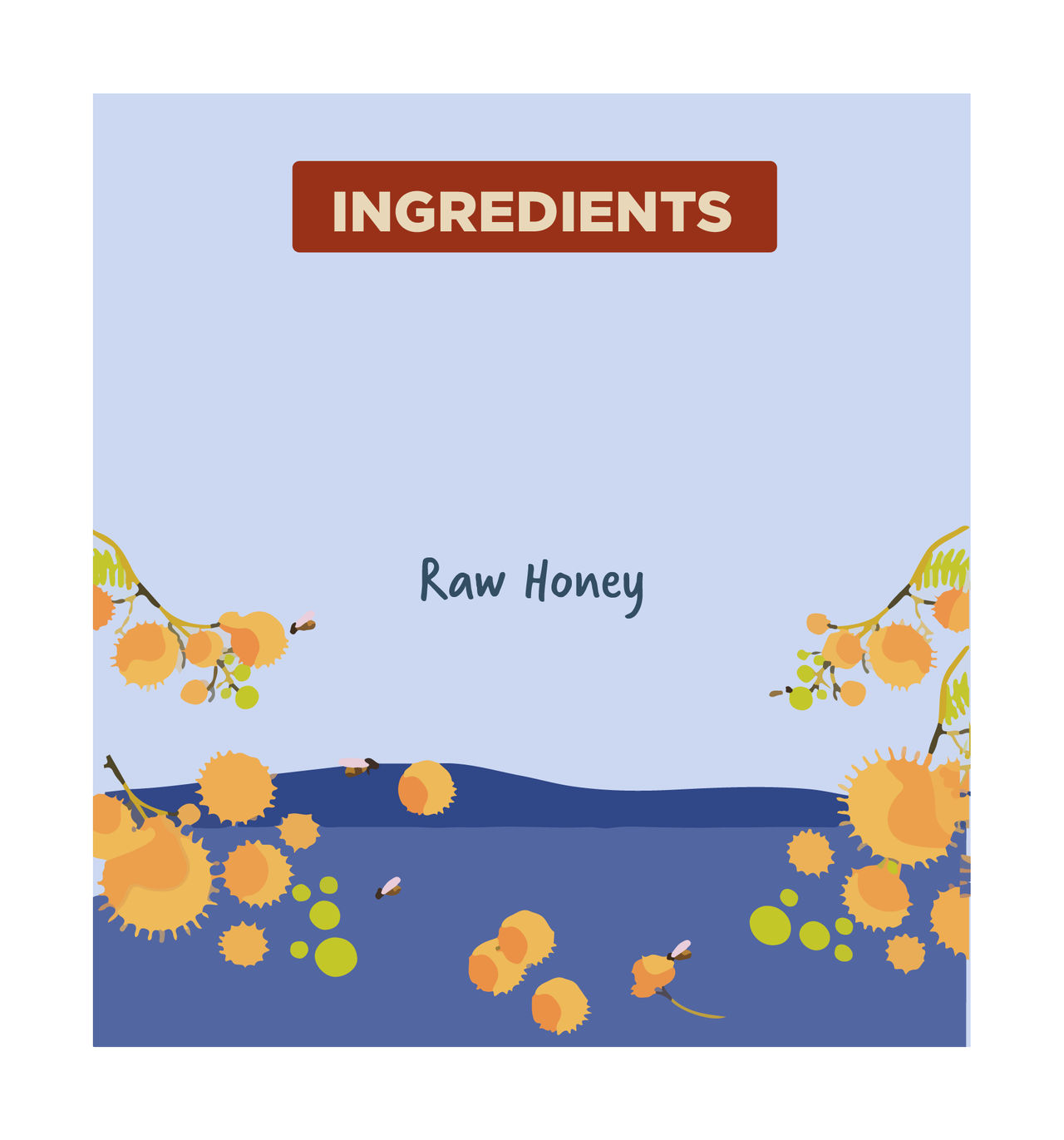 Two Brothers Multifloral Forest Honey Unpasteurized Unprocessed Raw Honey