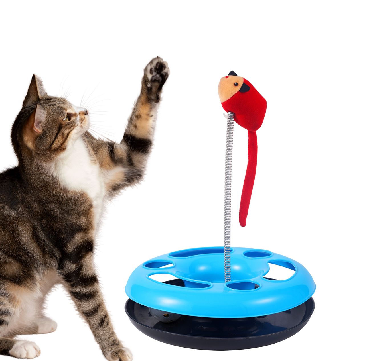 Petcrux Cats Happy Circle With Ball Bell And Teasing Stick Interactive Toy