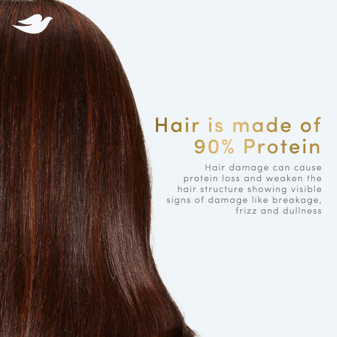 Dove Hair Fall Rescue Shampoo