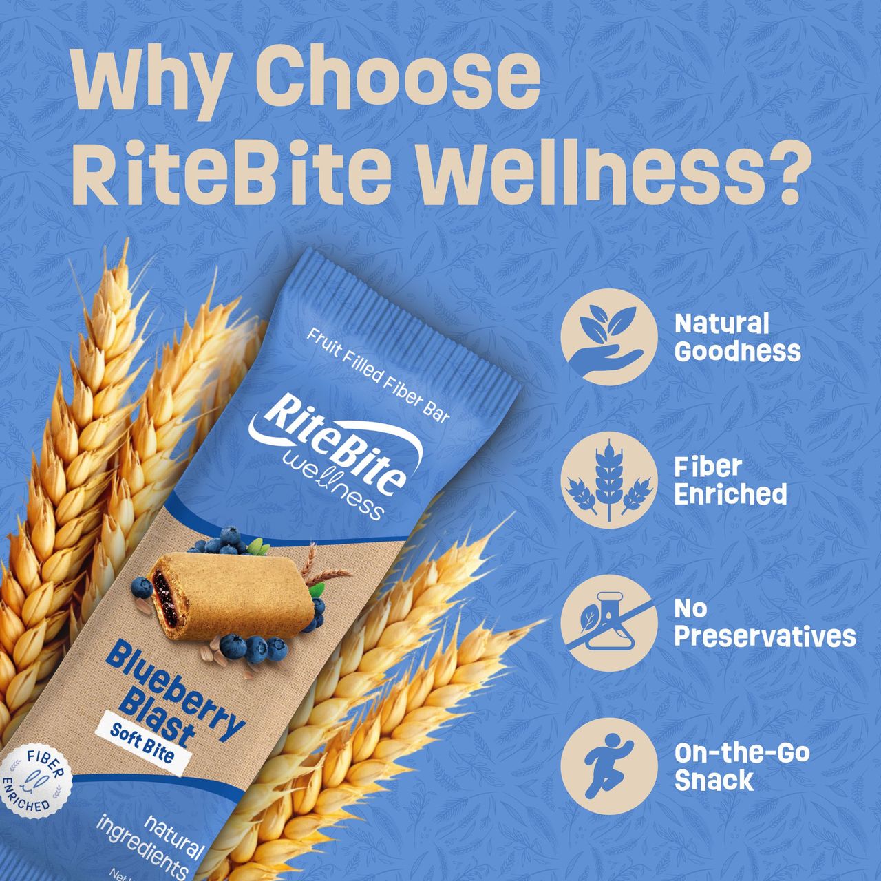 Rite Bite Blueberry Blast Fruitfill Fiber Energy Bar