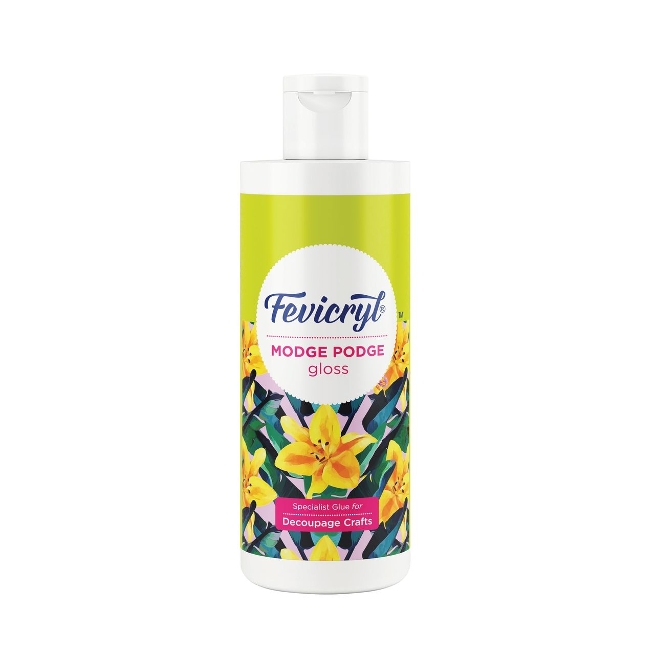 Fevicryl Modge Podge Gloss