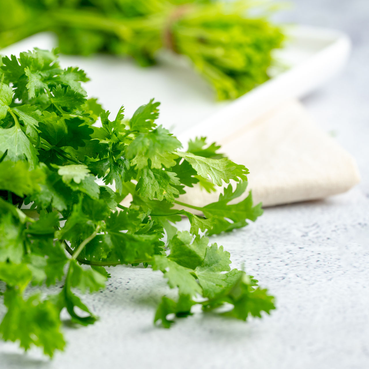 Coriander Leaves Combo