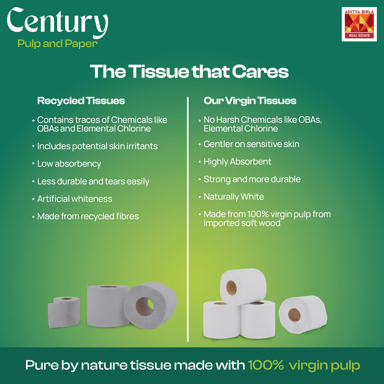 Century 2 Ply 100% Virgin Pulp Toilet Tissue Paper Roll 10 in 1 - 200 Pulls Per Roll