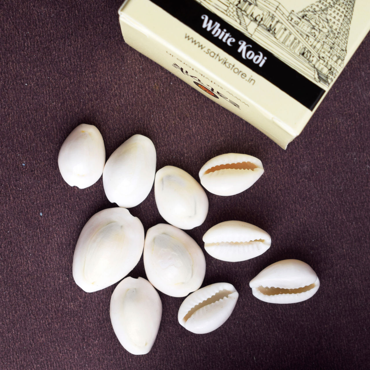 Satvik White Kaudi For Puja