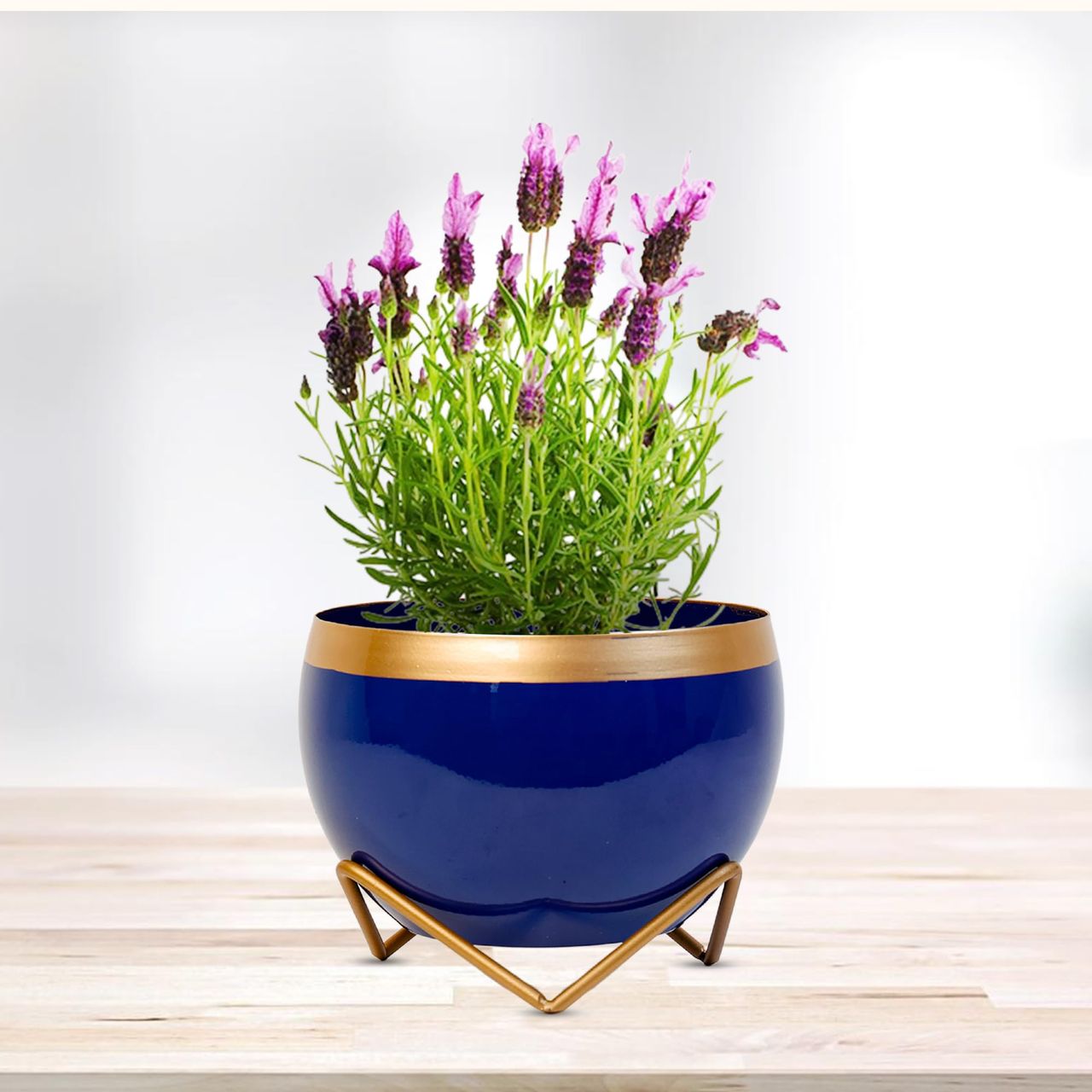 Peng Essentials Reva Home Decor Vase With Stand I Flower Pot - Indoor Planter I Desktop - Home