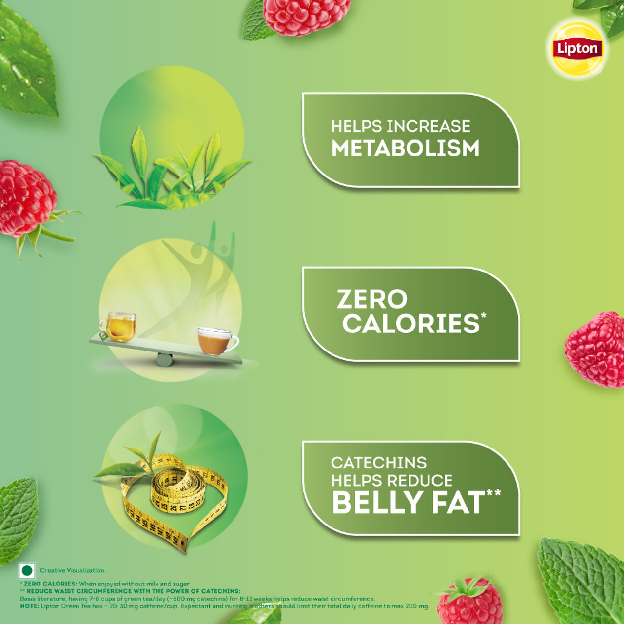Lipton Raspberry Mint Green Tea