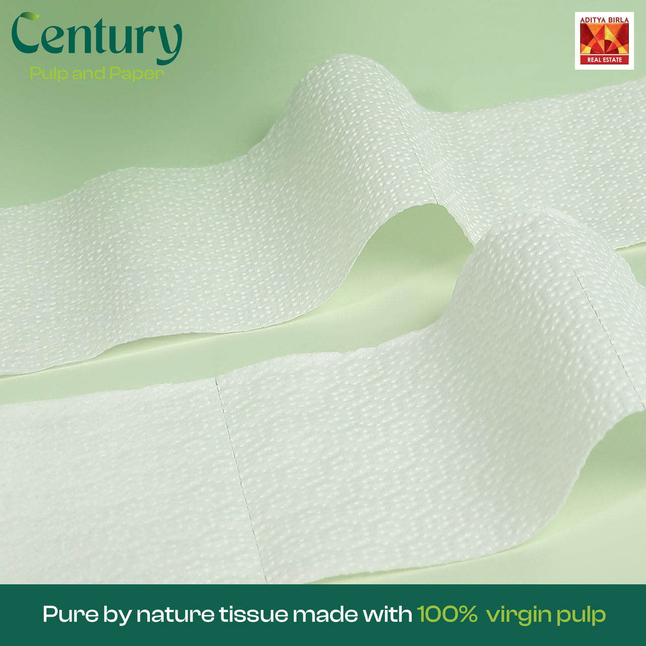 Century 2 Ply 100% Virgin Pulp Toilet Tissue Paper Roll 10 in 1 - 200 Pulls Per Roll