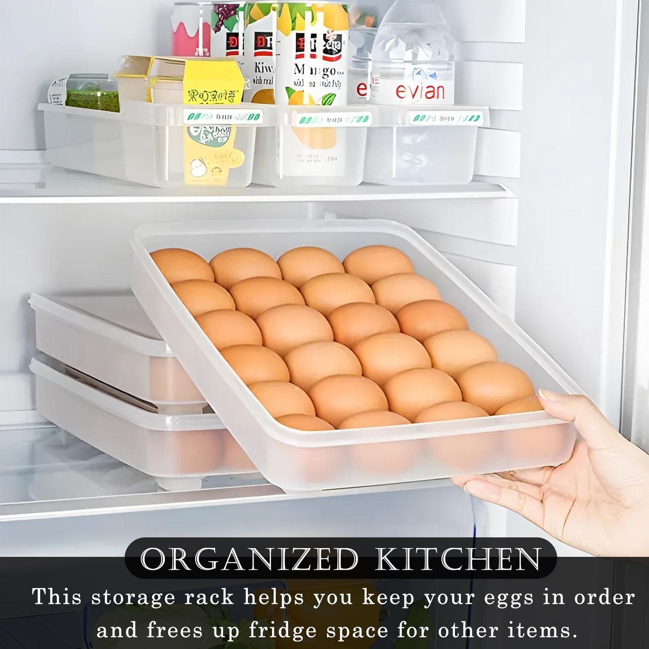 Kuber Industries Transparent Egg Tray with Lid | 24-Egg Storage Container