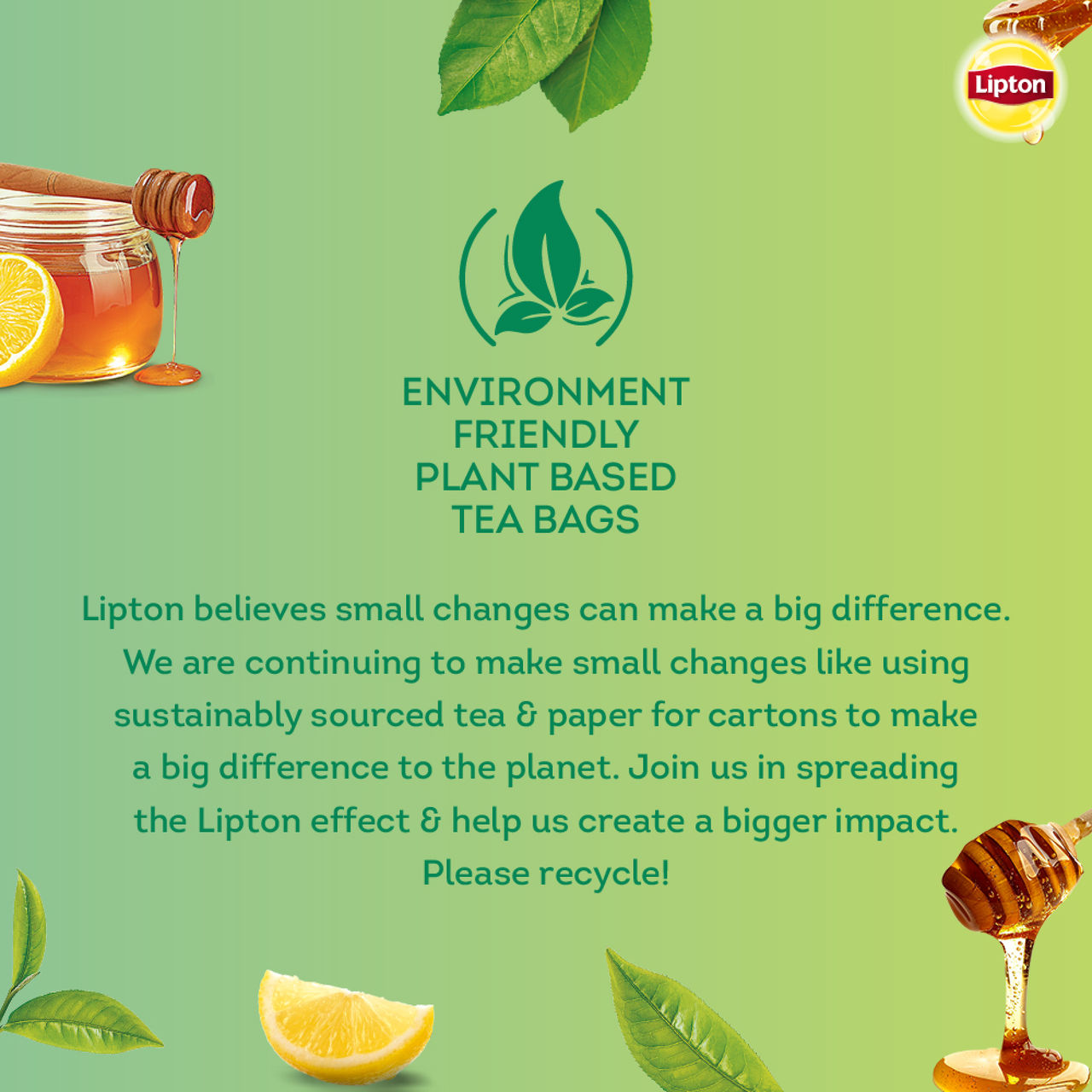 Lipton Honey and Lemon Green Tea