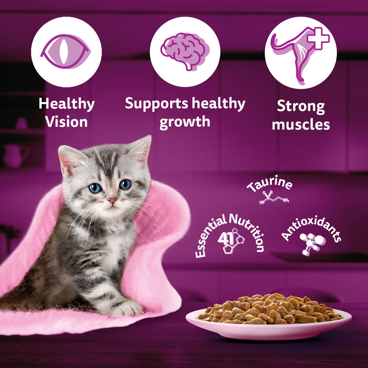 Whiskas Junior Chicken in Gravy Wet Cat Food, 80g, Pack of 3