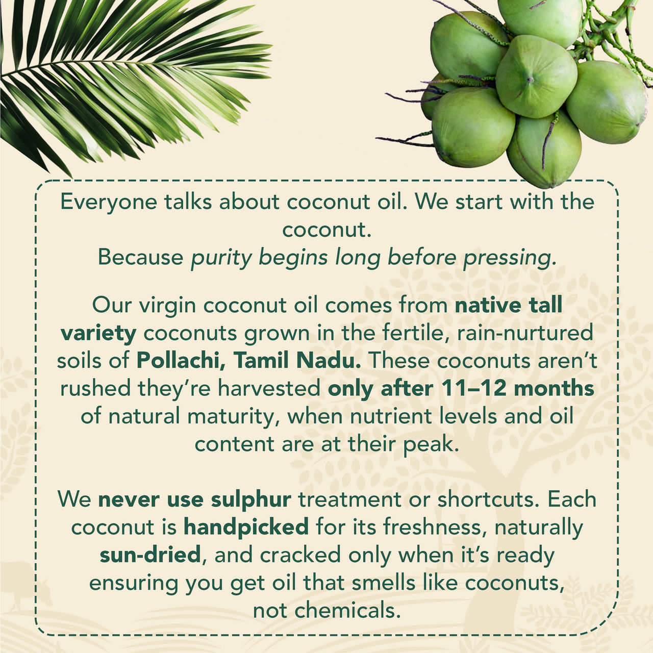 Anveshan Cold Pressed Virgin Coconut Oil