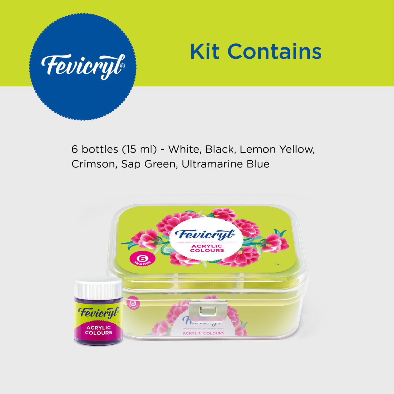 Fevicryl Acrylic Color Set (6 Shades X 10ml)