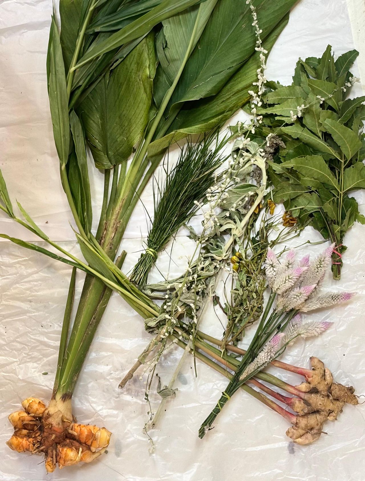 Pongal Kit
