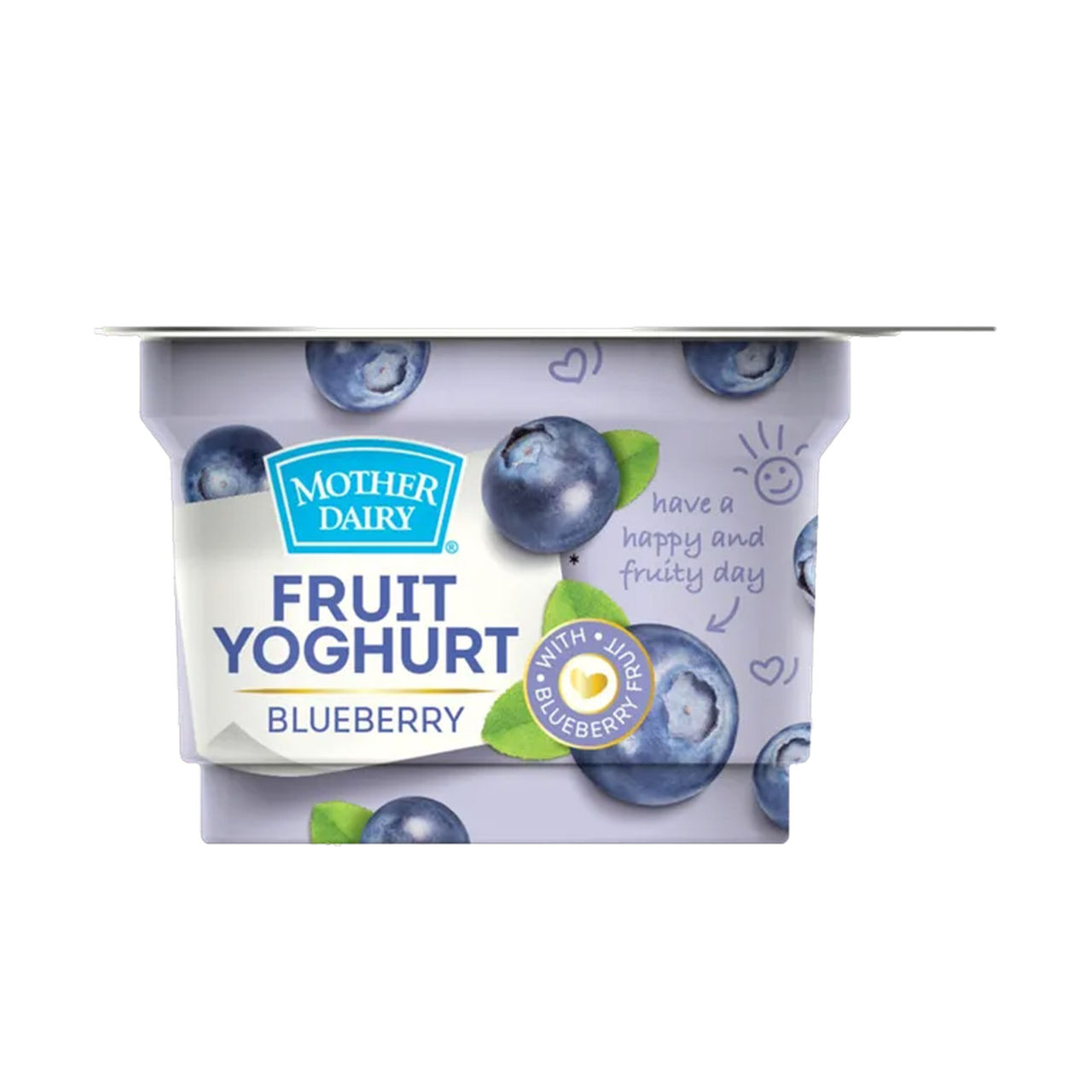 Mother Dairy Yogurt- Blueberry 100 g Combo