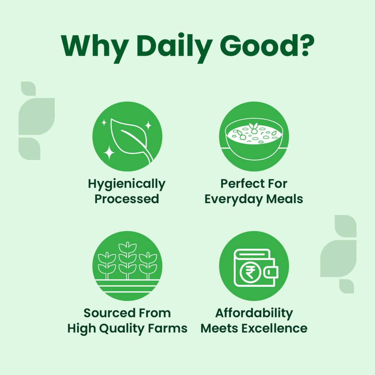 Daily Good Coriander / Dhania Whole