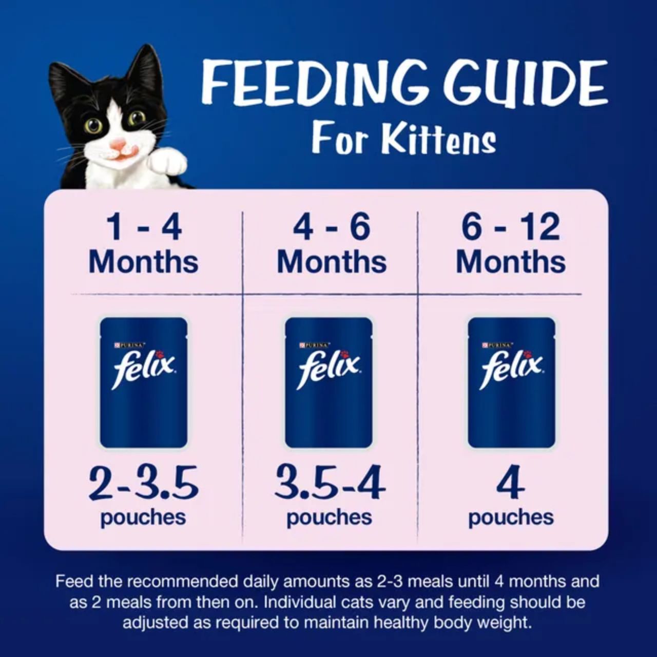 Purina Felix with Tuna in Jelly | Wet Food for Kittens | Complete and Balanced Kitten Food