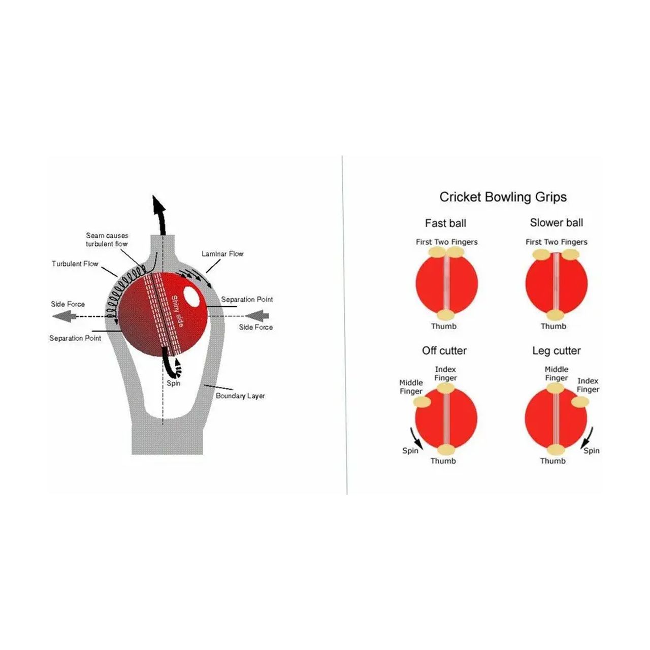 Jaspo PVC T-20 Soft Cricket Balls | White | Pack of 3 | Standard Size