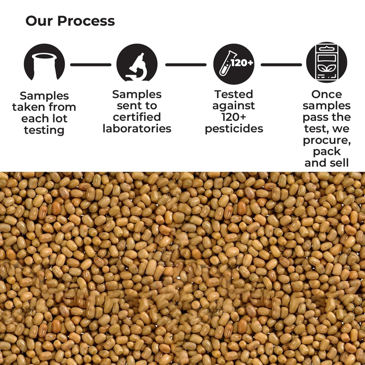 Safe Harvest Pesticide-Free Moth Bean