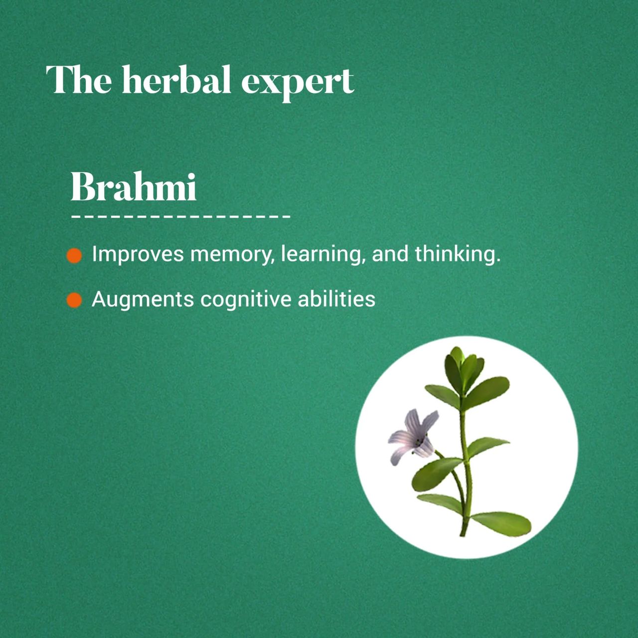 Himalaya Wellness Himalaya Brahmi Tablet