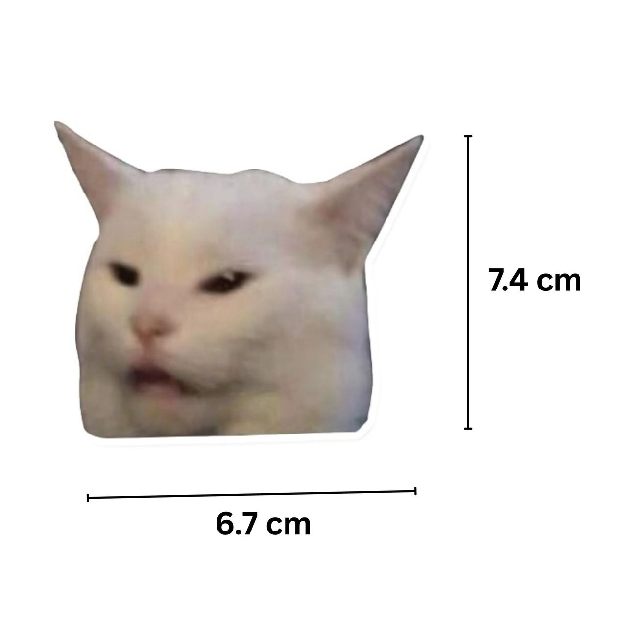 House Of Festivals Smug Cat - Sticker