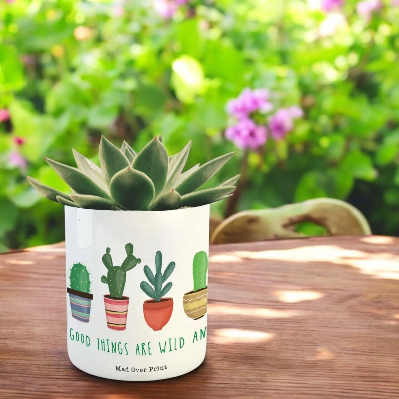 Mad Over Print Cactus Family Planter