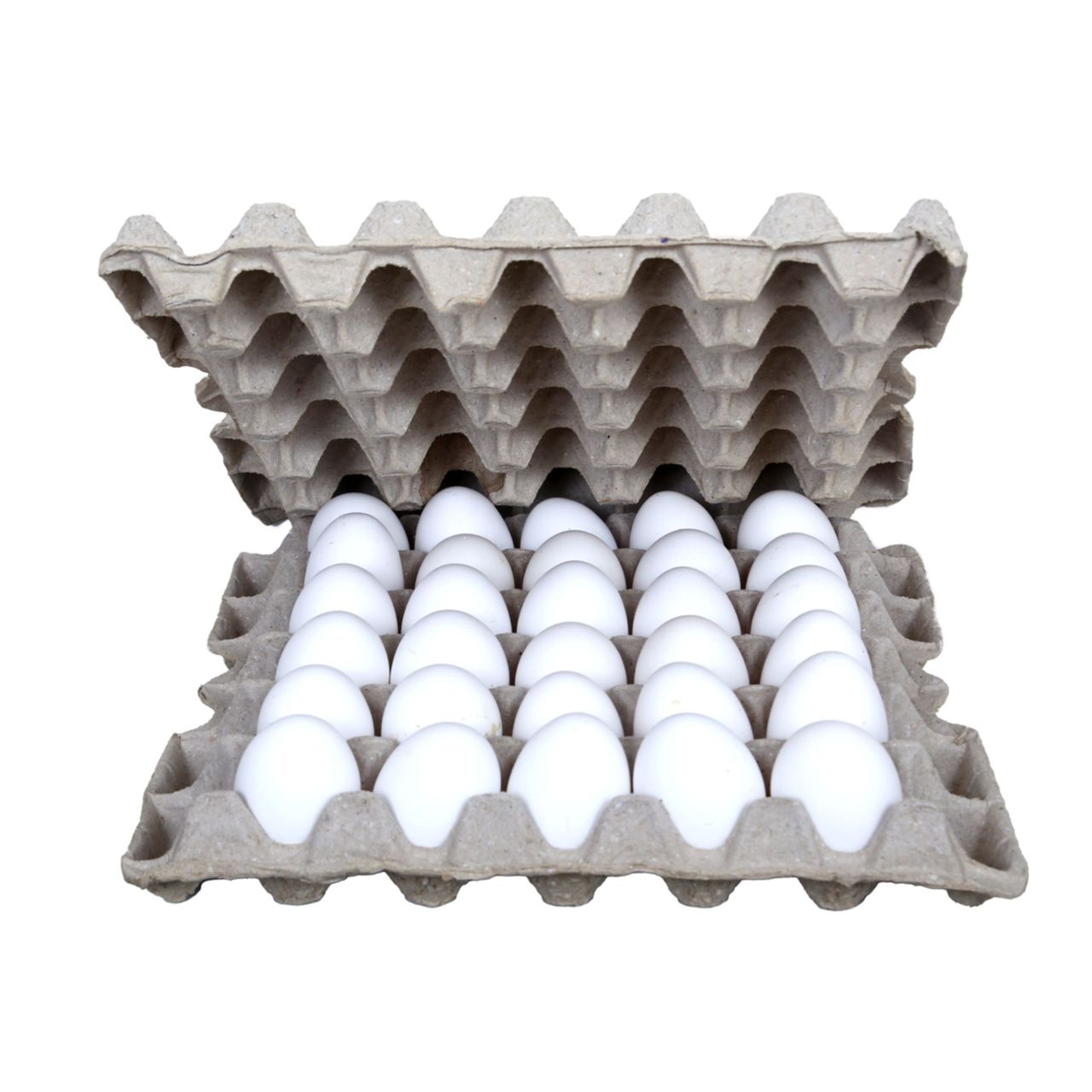 Egg First White Eggs