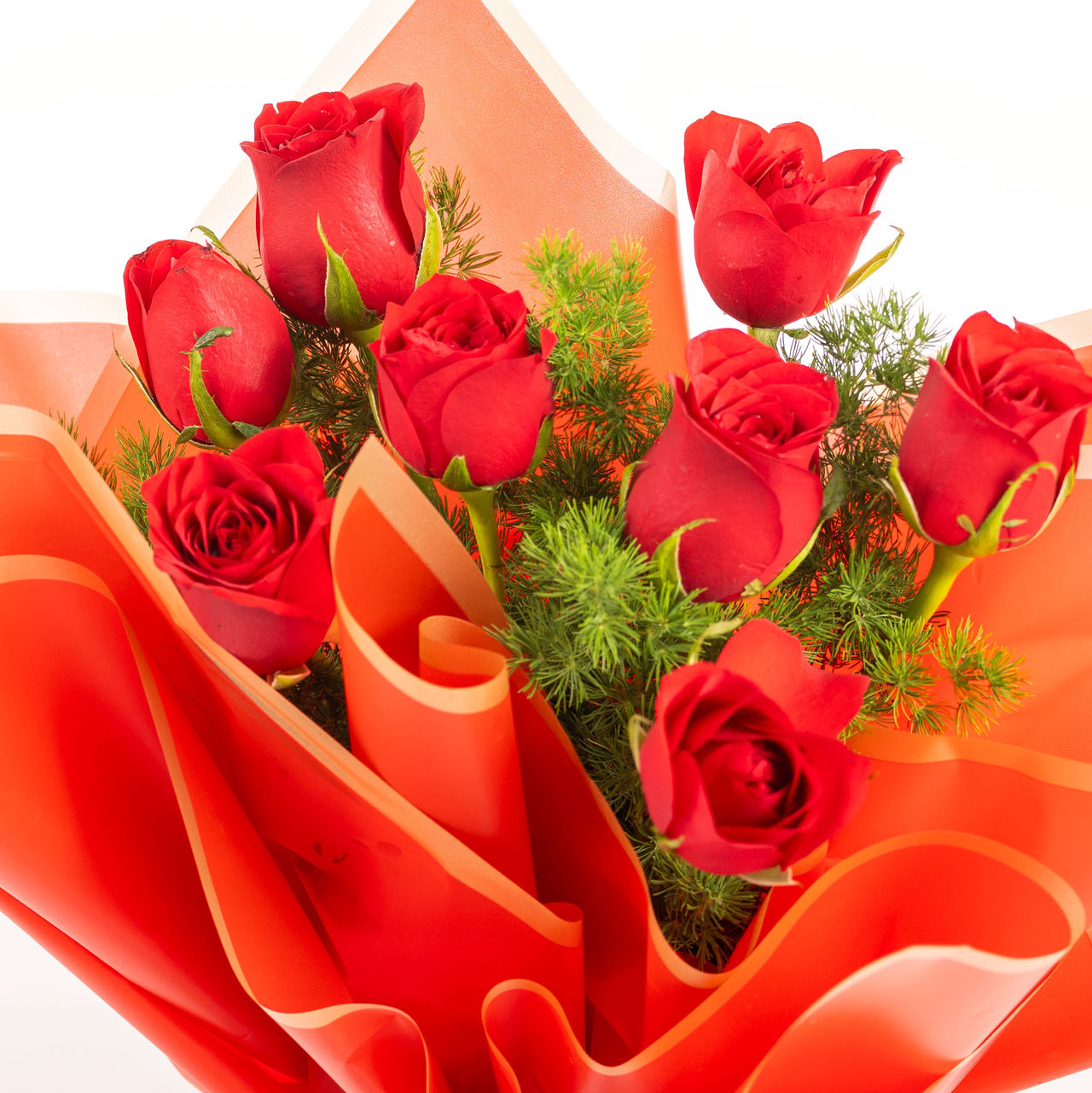 FNP Eternal Bloom Red Roses Bouquet