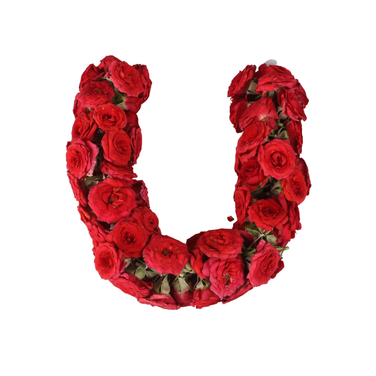 Hoovu Fresh Rose Flower String 1 pc Combo