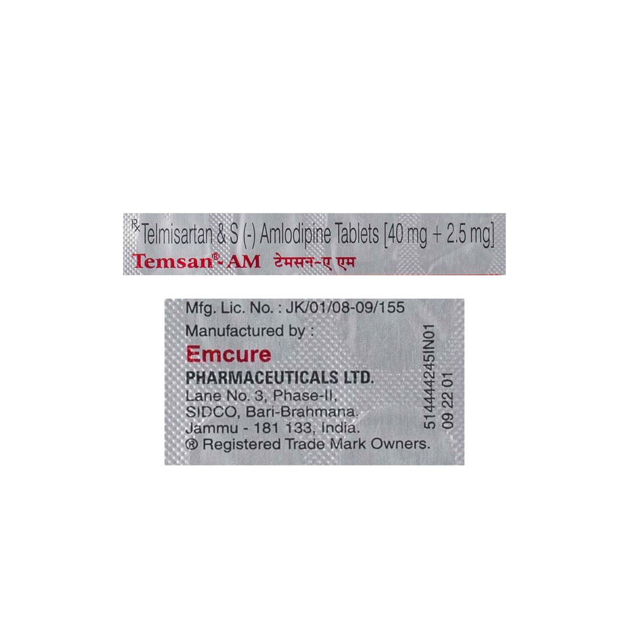 Temsan-AM Tablets