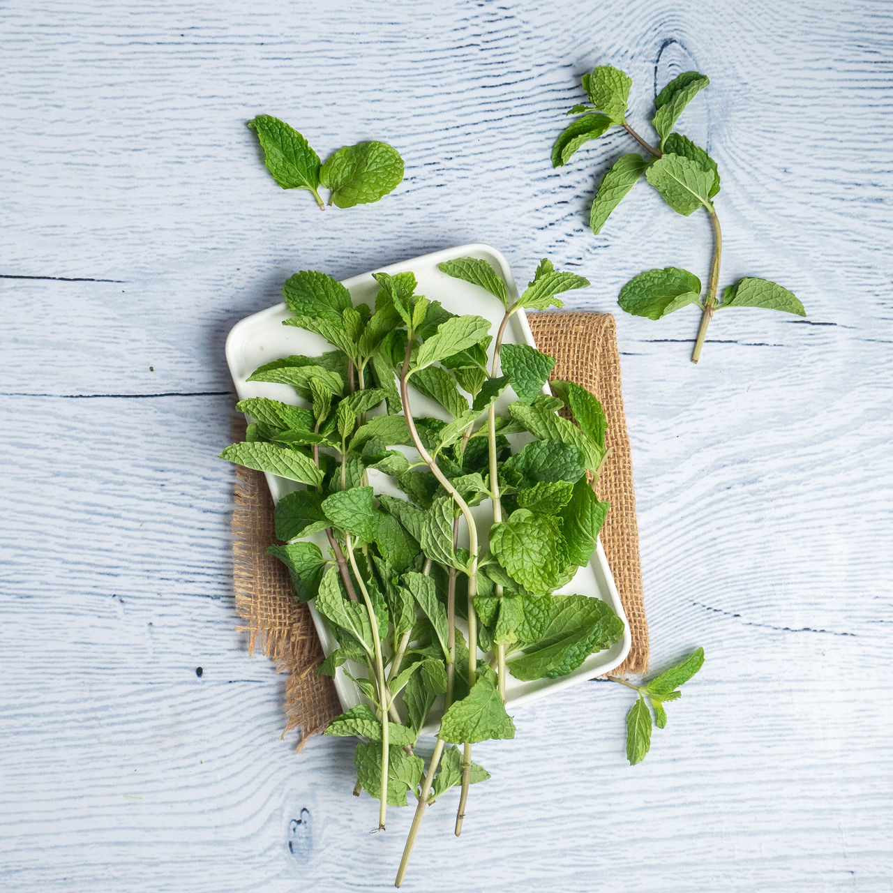 Mint/Pudina Aaku - Cleaned, without roots 100 g Combo