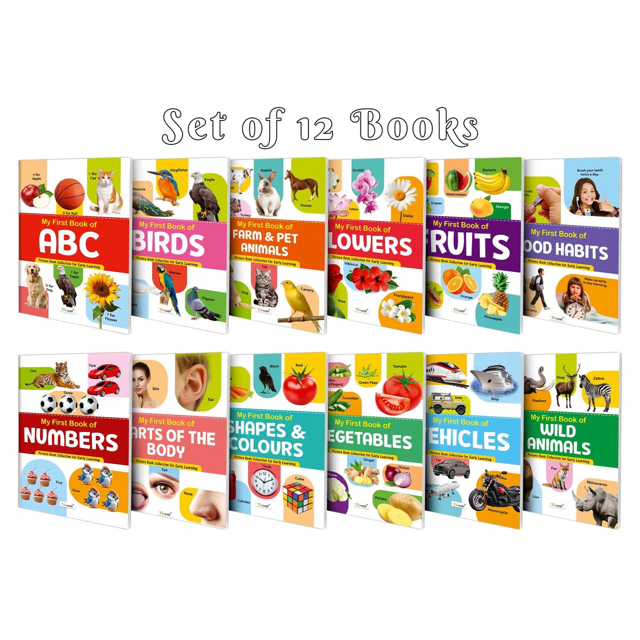 My First Book of Abc | Numbers, Fruits and More - Preschool Picture Book- Pack of 12 Learning Books