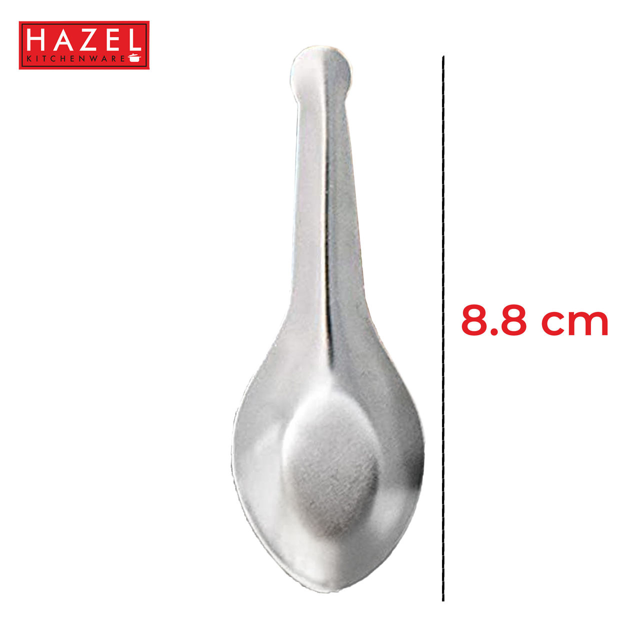 HAZEL Stainless Steel Mini Masala Spoons for Spices & Condiments - Set of 12