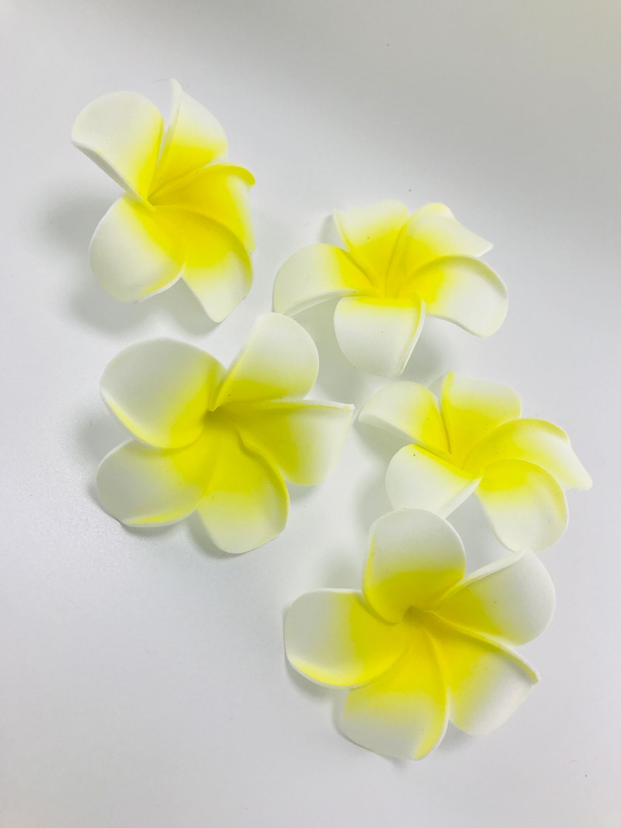 Gullak Floating Frangipani Flower