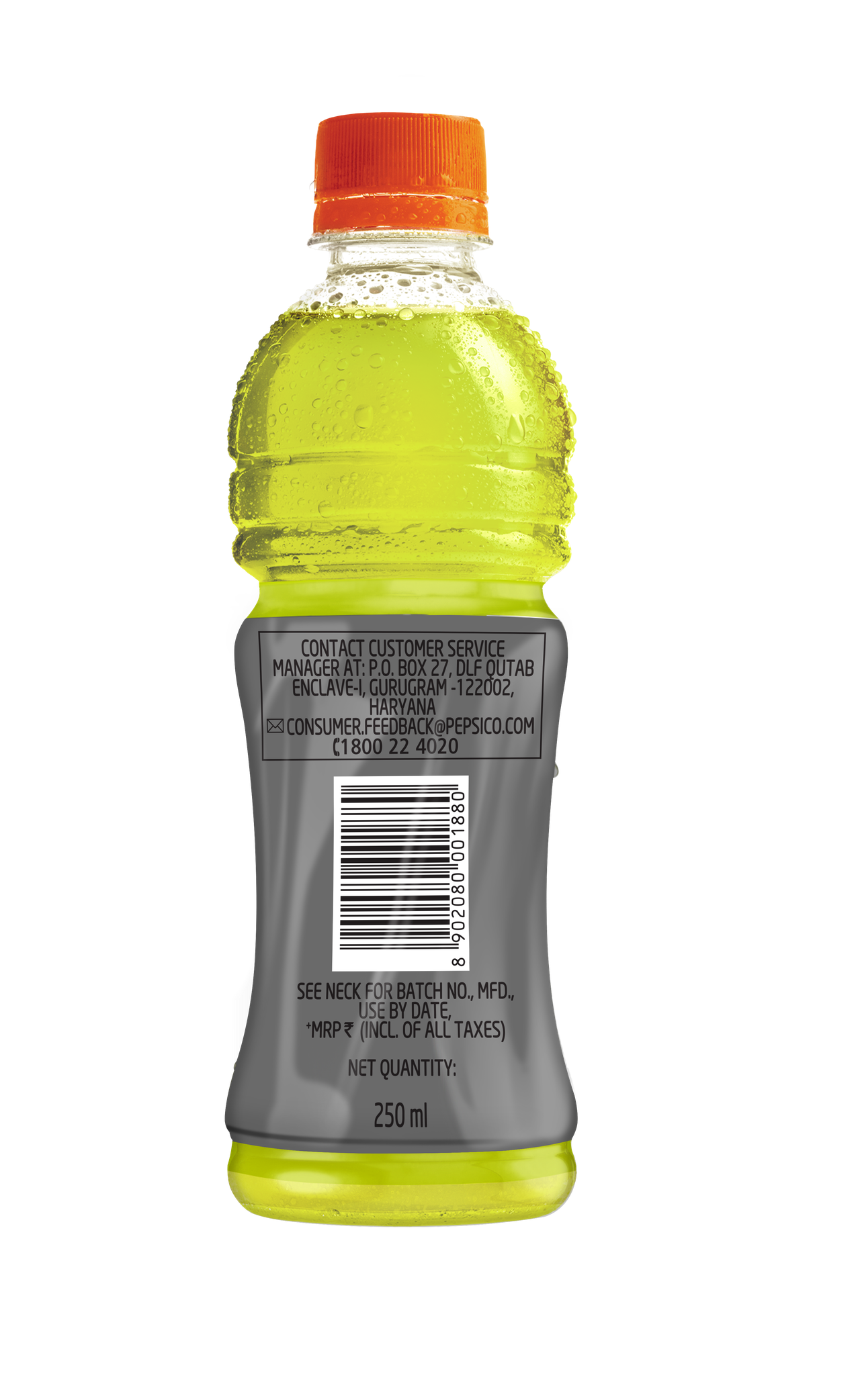Gatorade Lemon Pet