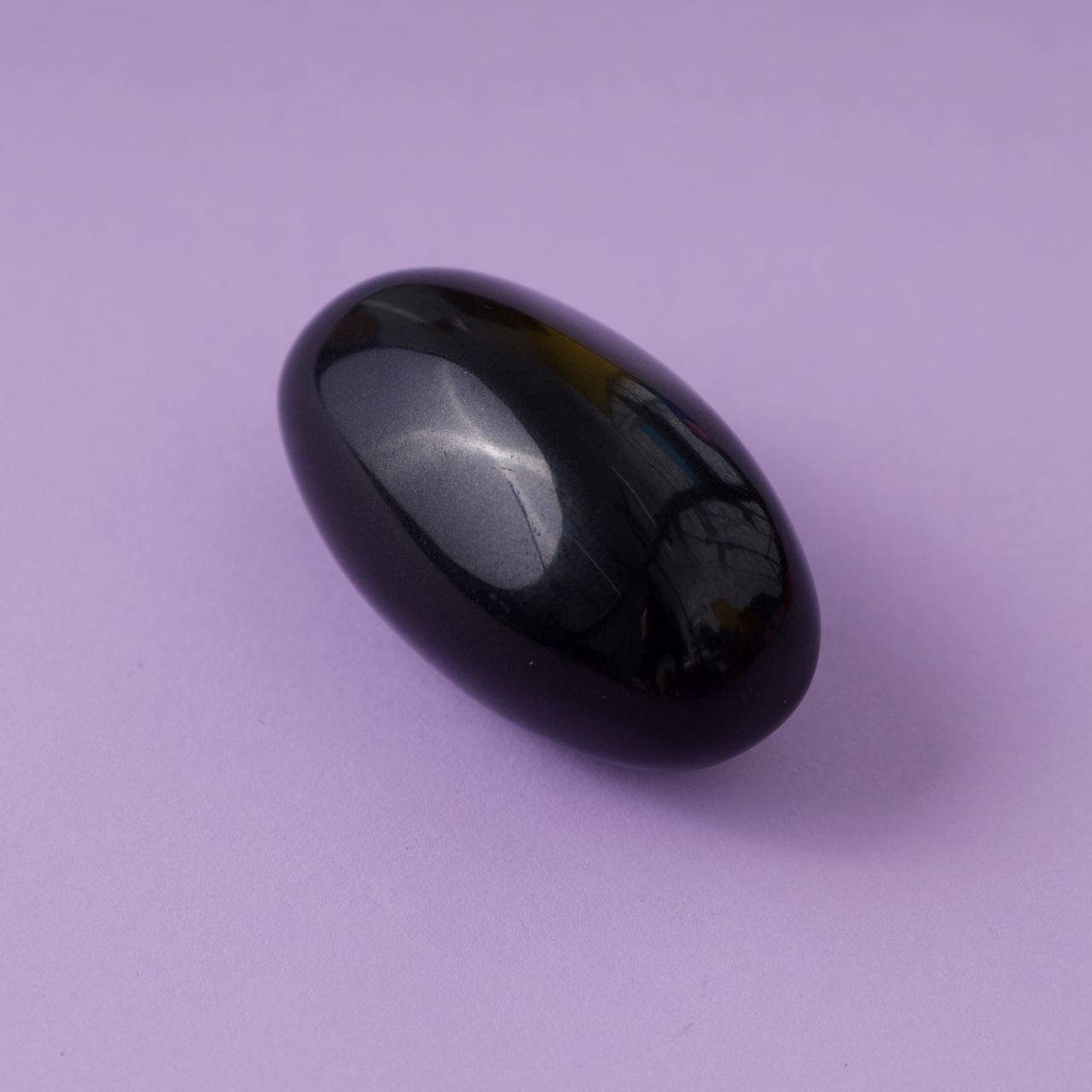 Oye Happy Shaligram Stone