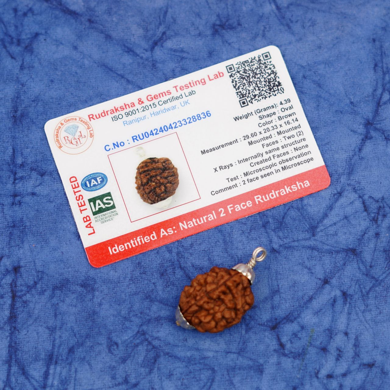 Servdharm 2 Mukhi Rudraksha Pendant