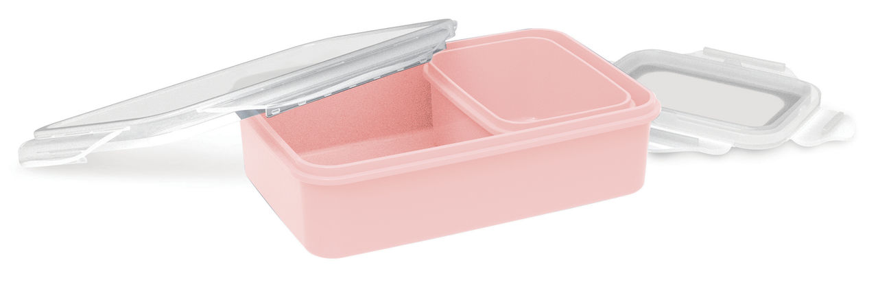 All Time Lock & Safe Storage Containers Set Of 2, (1250 Ml X 1, 350 Ml X 1 ) (Colour May Vary)