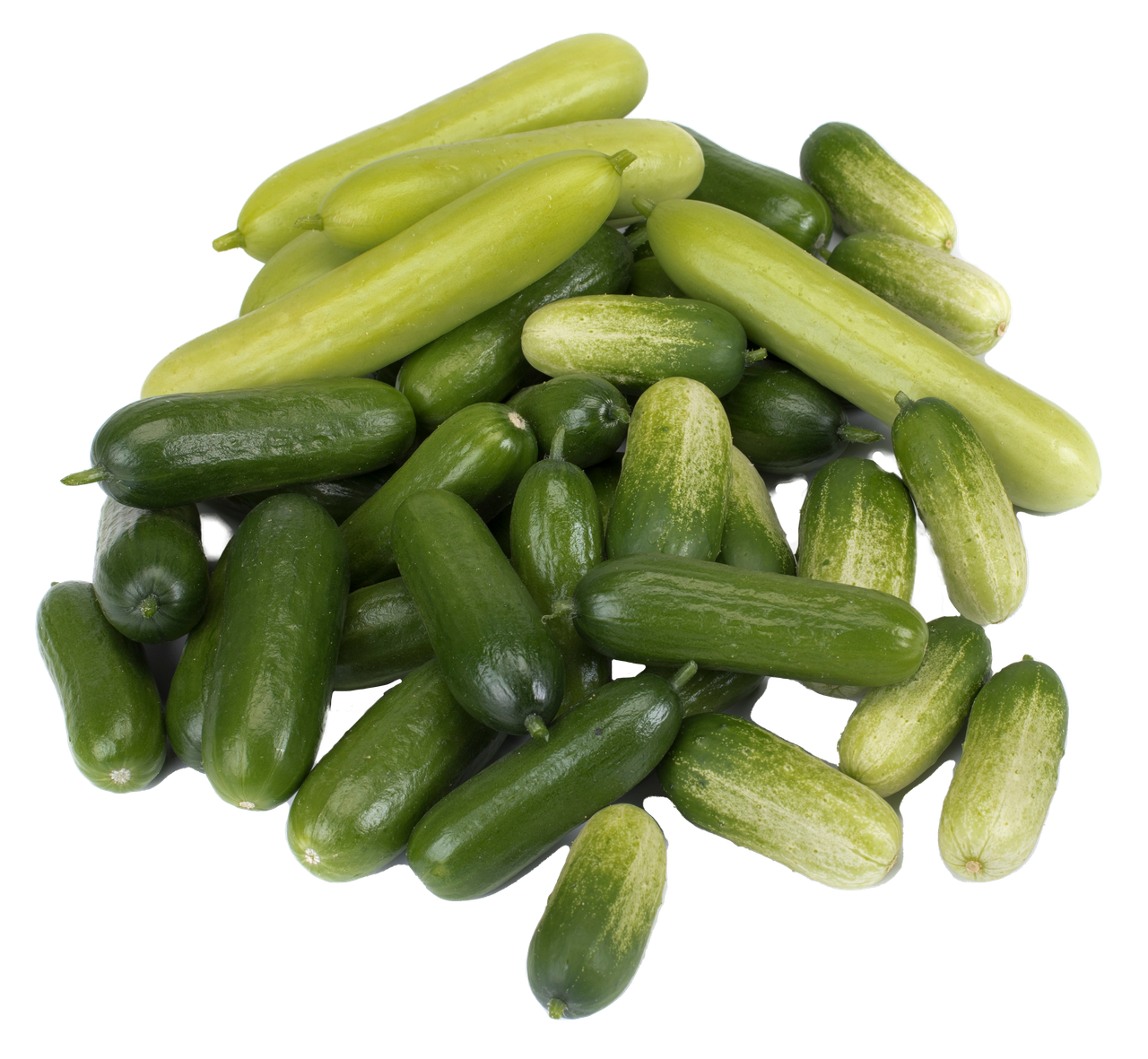 Snack Cucumber Pack