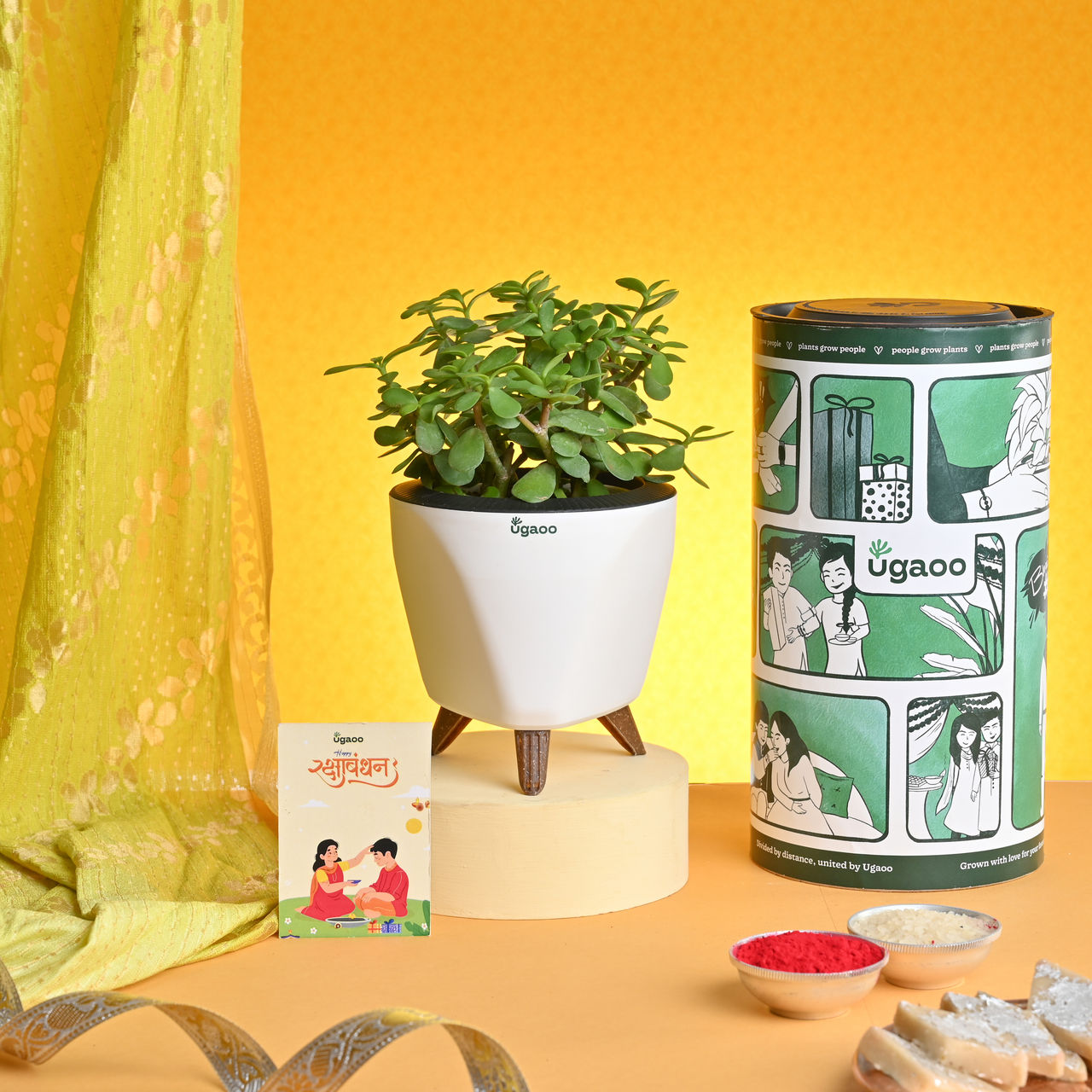 UGAOO Special Plant Hamper with Chocolates