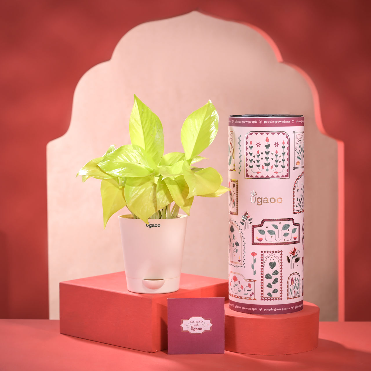 Ugaoo Diwali Gift Hamper
