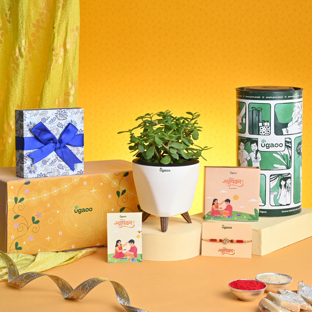 UGAOO Special Plant Hamper with Chocolates