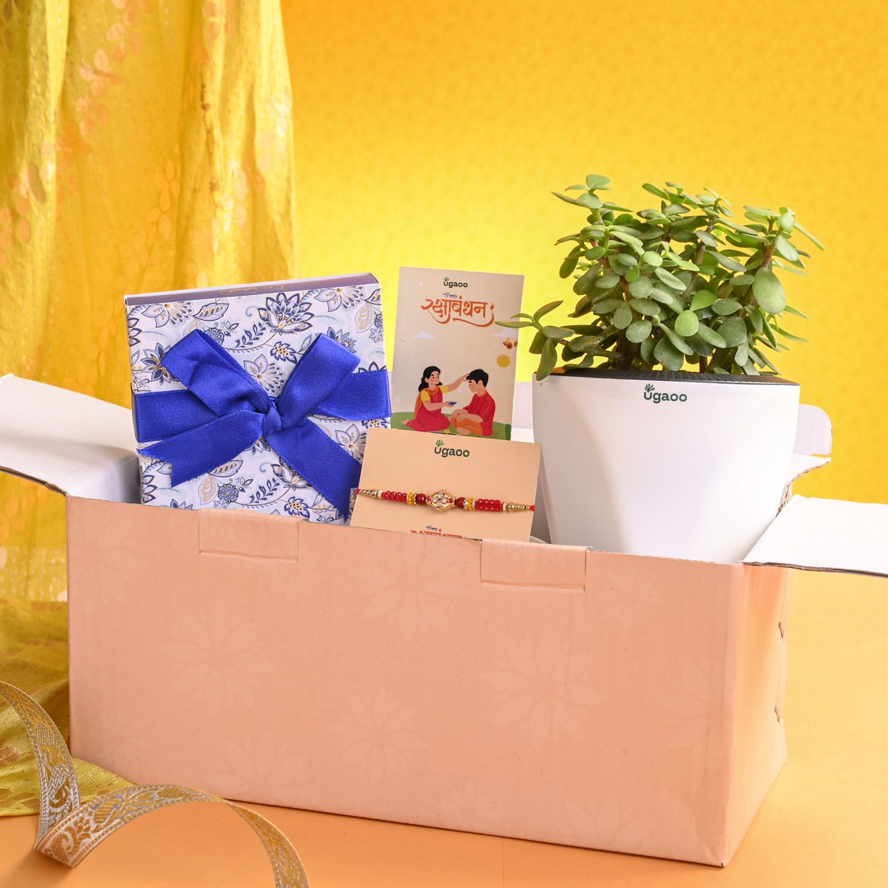 UGAOO Special Plant Hamper with Chocolates