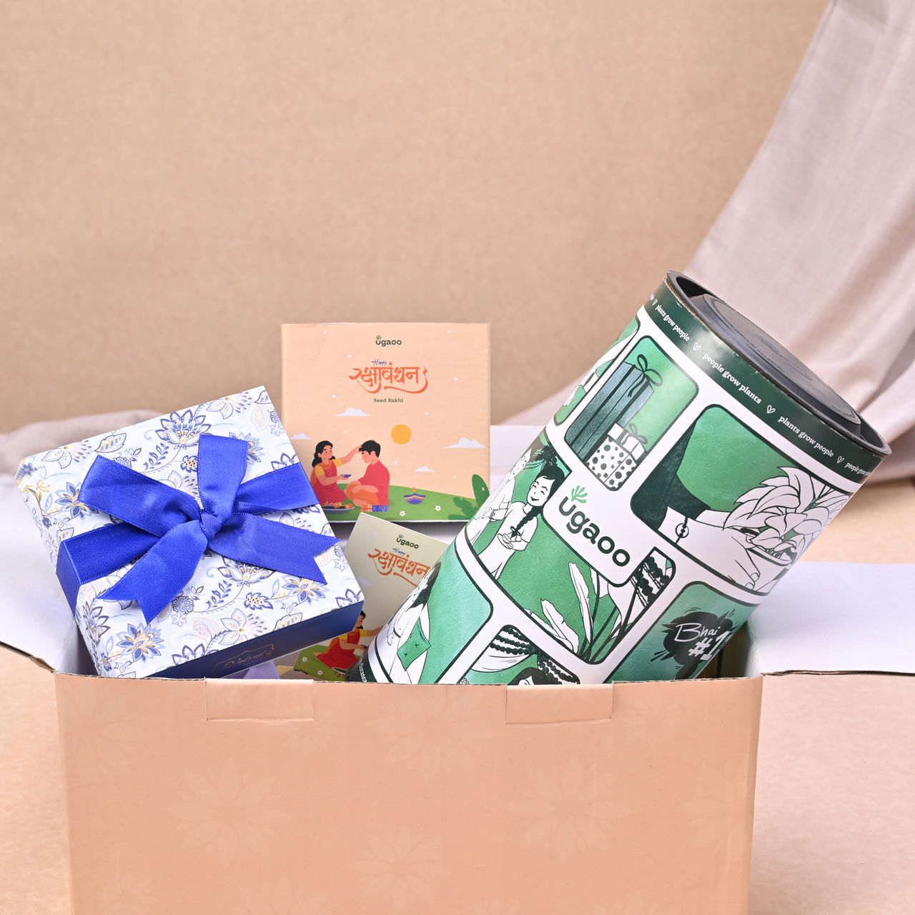 UGAOO Special Plant Hamper with Chocolates
