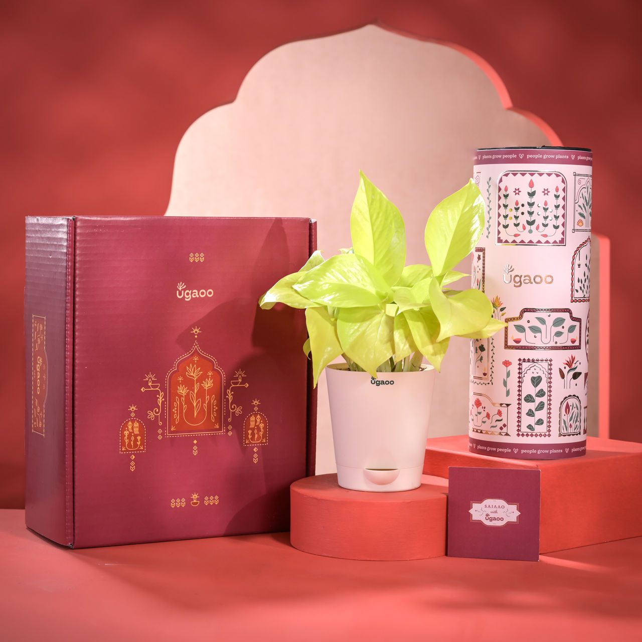 Ugaoo Diwali Gift Hamper